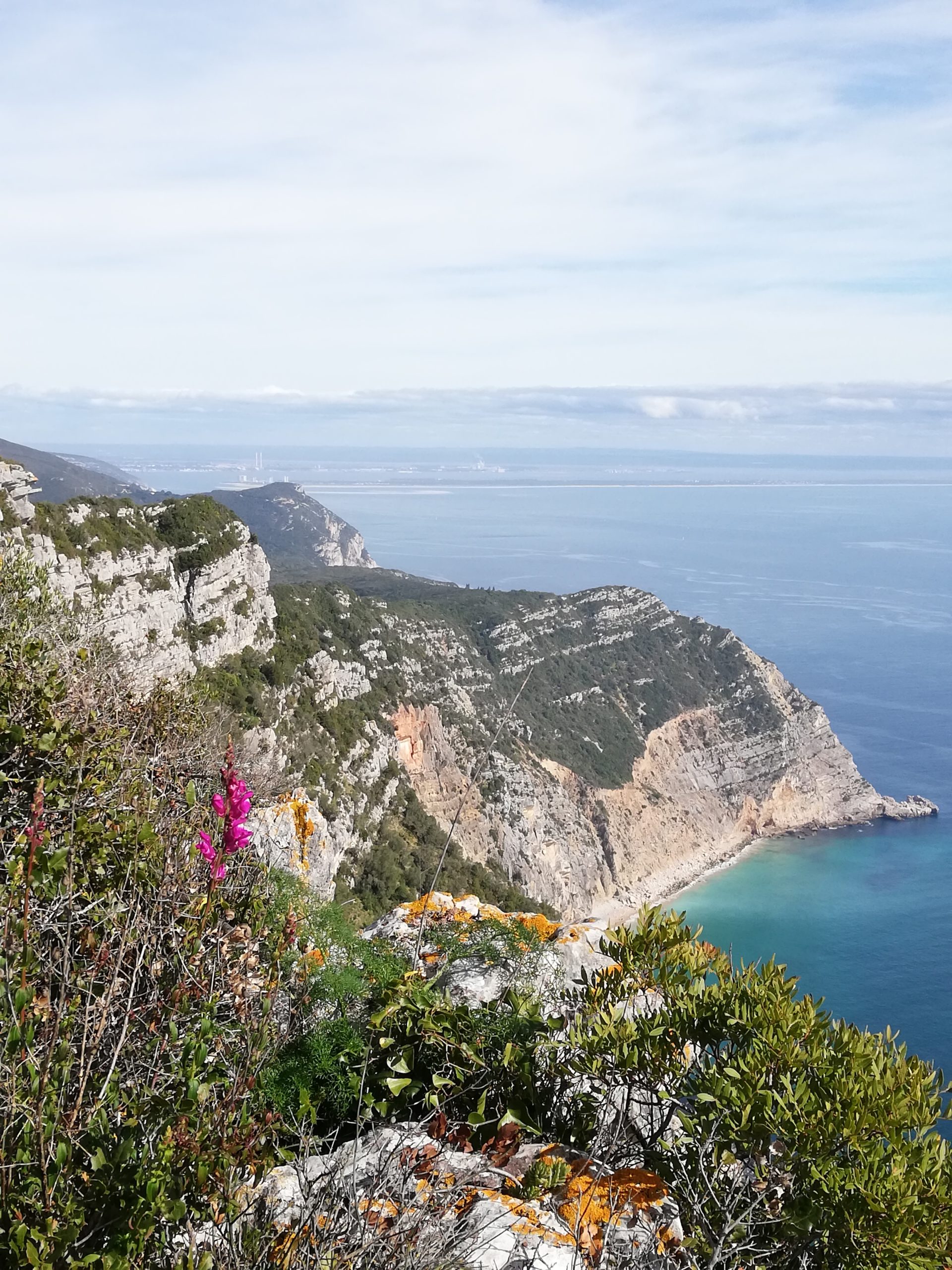 Nederlandstalige gids Lissabon