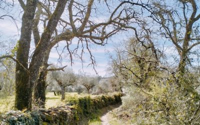 Wandelen in Portugal: ik ging een blokje om