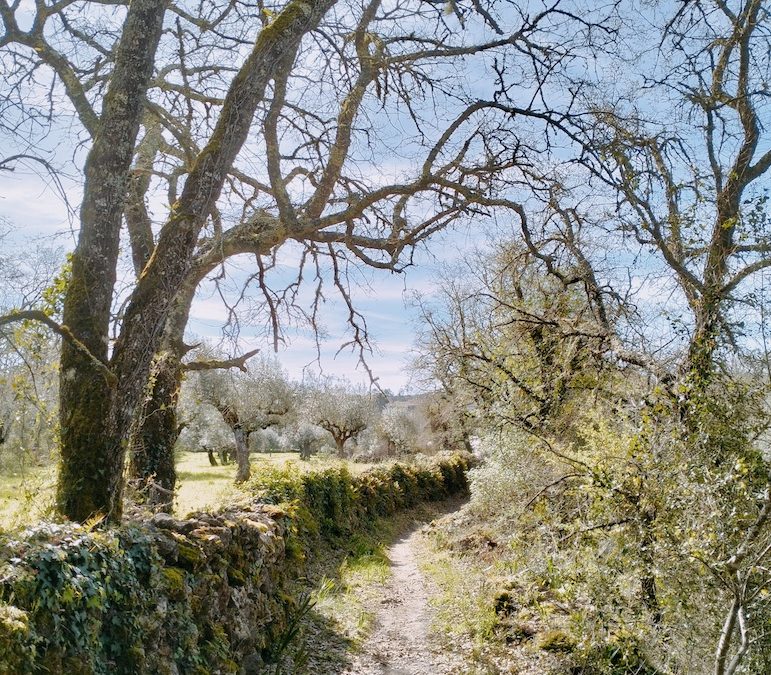 Wandelen in Portugal: ik ging een blokje om